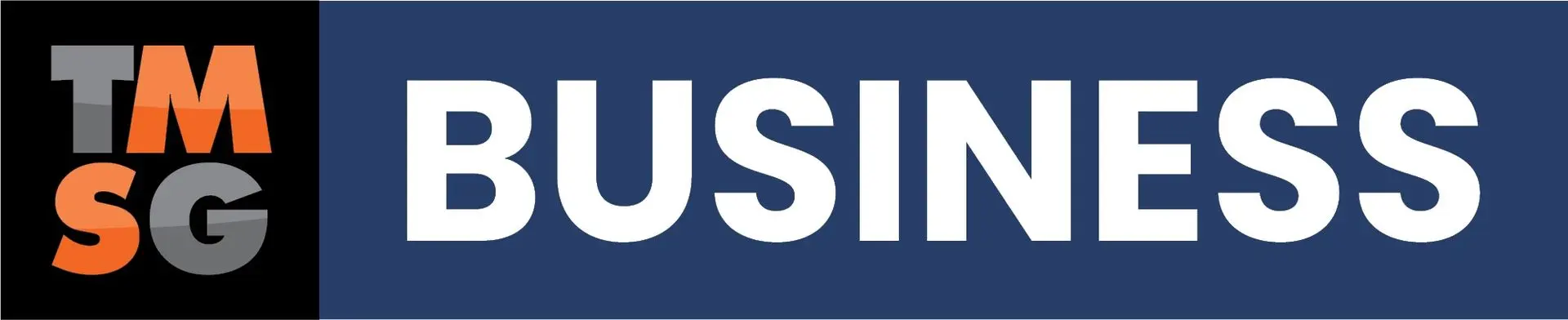 TMSG Business